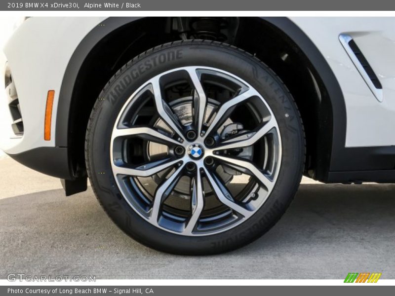 Alpine White / Black 2019 BMW X4 xDrive30i