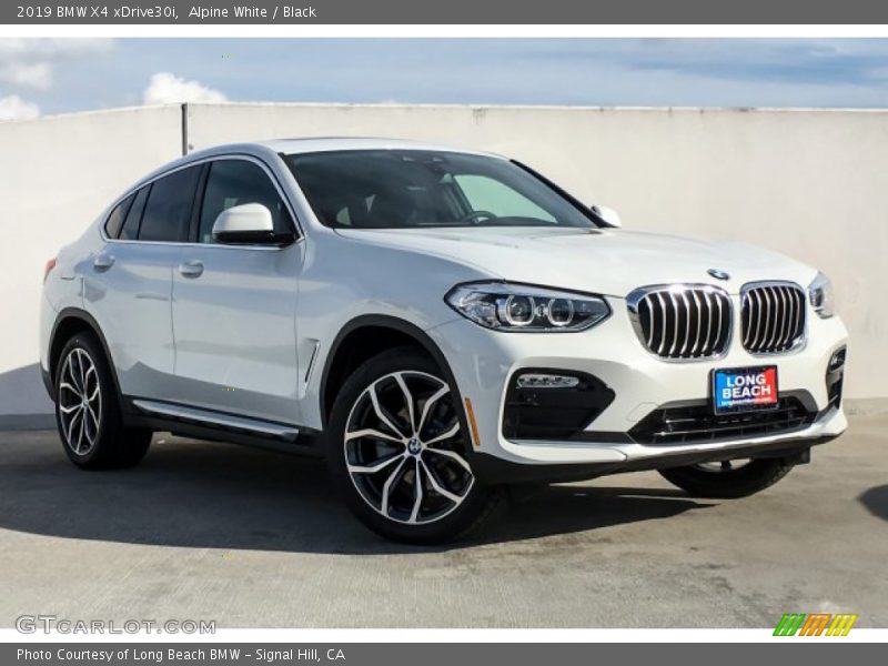 Alpine White / Black 2019 BMW X4 xDrive30i