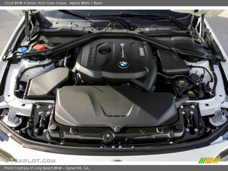 Alpine White / Black 2019 BMW 4 Series 430i Gran Coupe