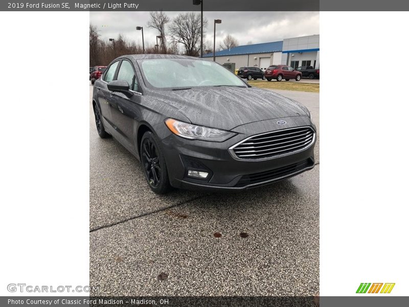 Magnetic / Light Putty 2019 Ford Fusion SE
