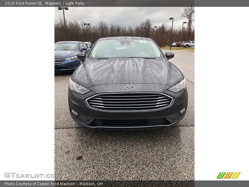 Magnetic / Light Putty 2019 Ford Fusion SE