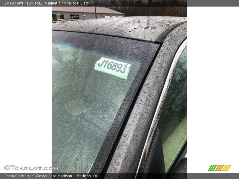 Magnetic / Charcoal Black 2019 Ford Taurus SE