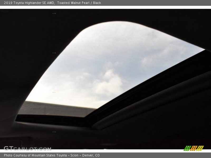 Toasted Walnut Pearl / Black 2019 Toyota Highlander SE AWD