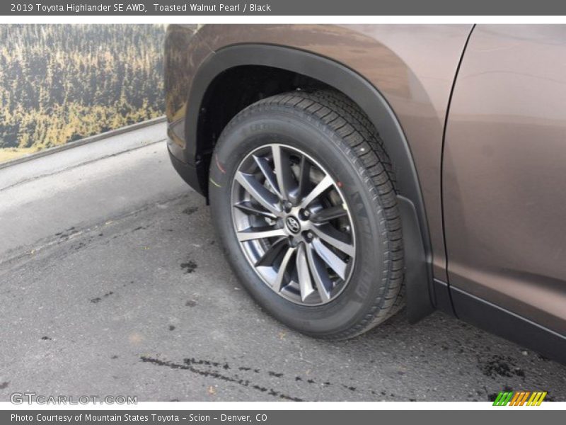Toasted Walnut Pearl / Black 2019 Toyota Highlander SE AWD