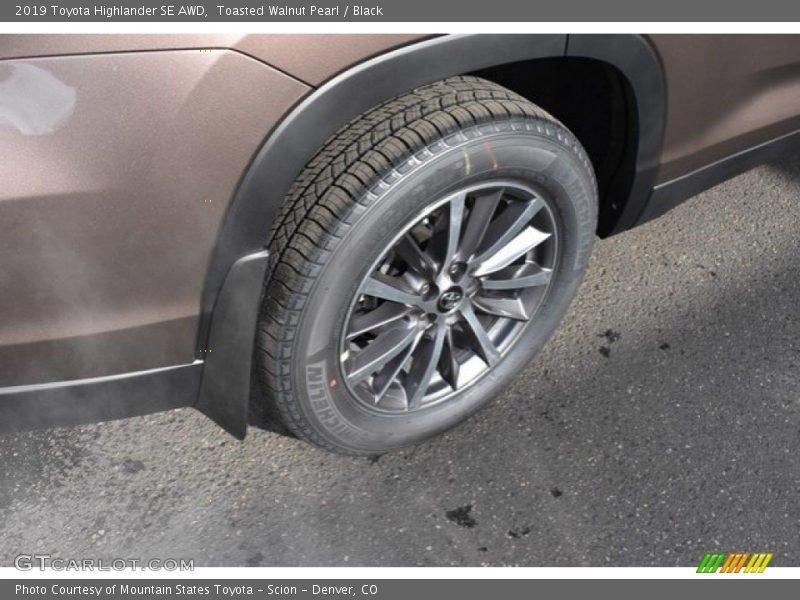 Toasted Walnut Pearl / Black 2019 Toyota Highlander SE AWD