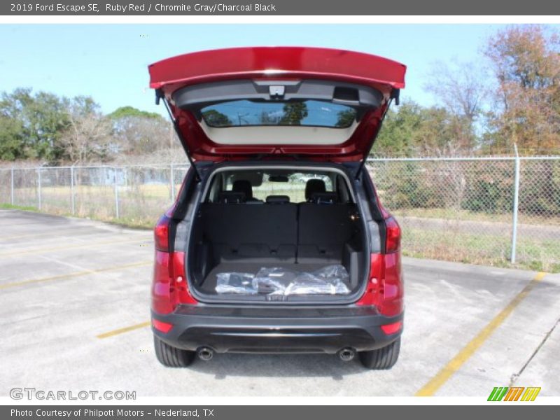 Ruby Red / Chromite Gray/Charcoal Black 2019 Ford Escape SE