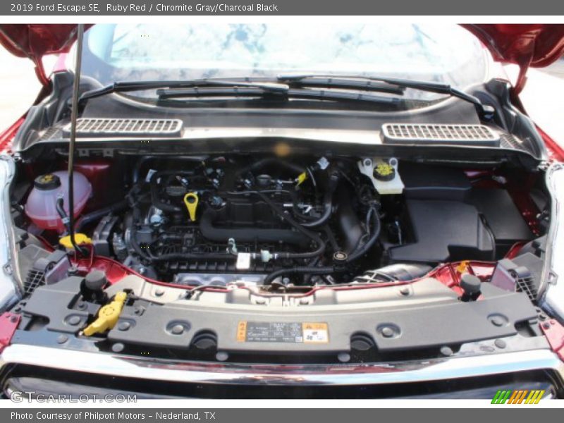 Ruby Red / Chromite Gray/Charcoal Black 2019 Ford Escape SE