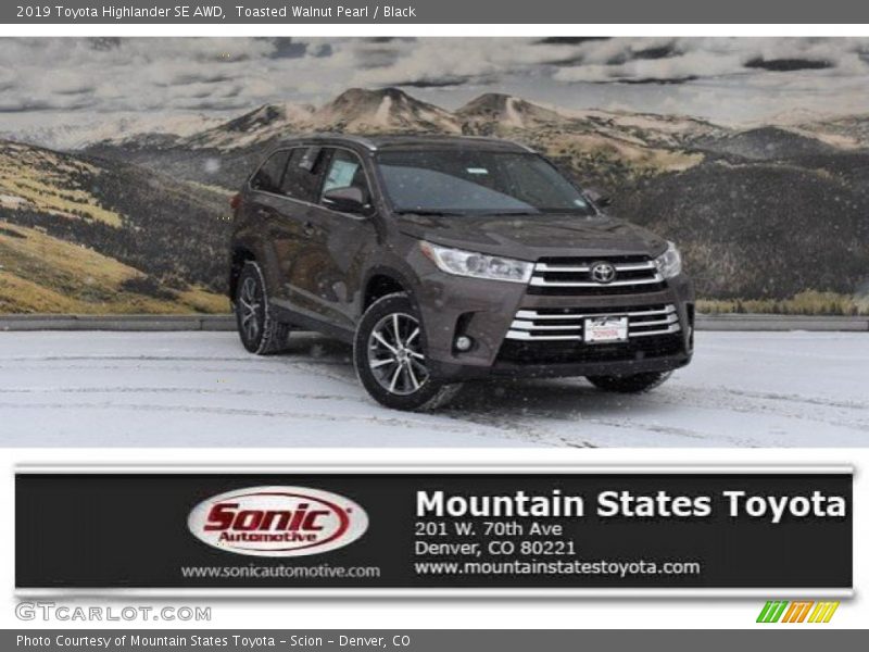 Toasted Walnut Pearl / Black 2019 Toyota Highlander SE AWD
