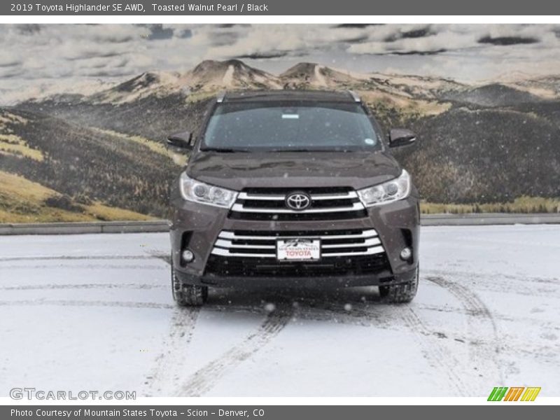 Toasted Walnut Pearl / Black 2019 Toyota Highlander SE AWD
