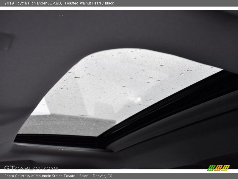 Toasted Walnut Pearl / Black 2019 Toyota Highlander SE AWD
