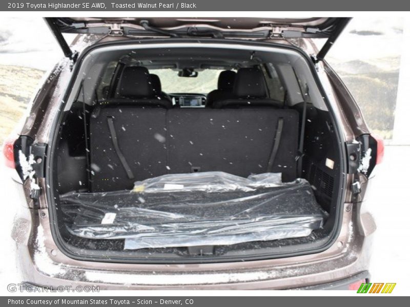 Toasted Walnut Pearl / Black 2019 Toyota Highlander SE AWD