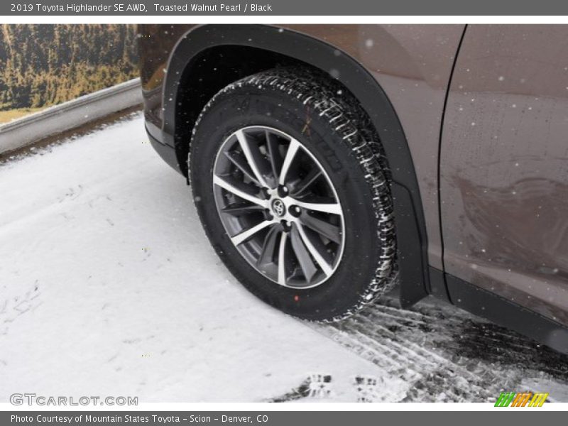 Toasted Walnut Pearl / Black 2019 Toyota Highlander SE AWD