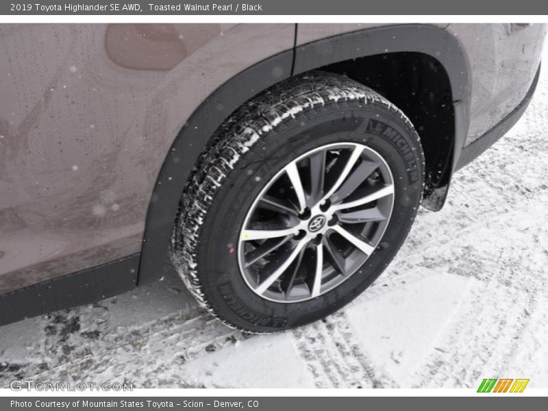 Toasted Walnut Pearl / Black 2019 Toyota Highlander SE AWD