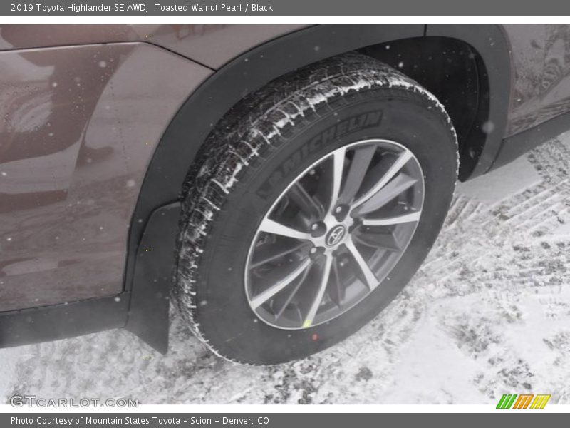 Toasted Walnut Pearl / Black 2019 Toyota Highlander SE AWD