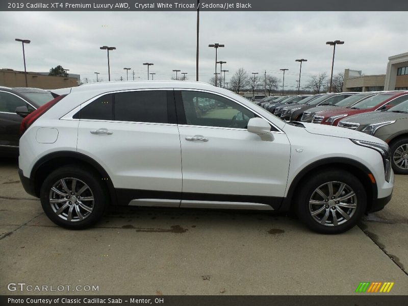  2019 XT4 Premium Luxury AWD Crystal White Tricoat