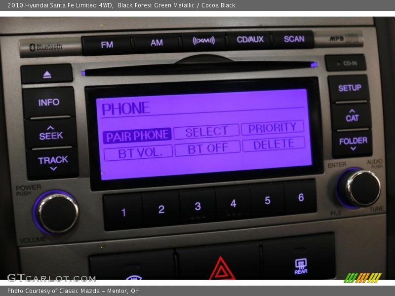 Black Forest Green Metallic / Cocoa Black 2010 Hyundai Santa Fe Limited 4WD