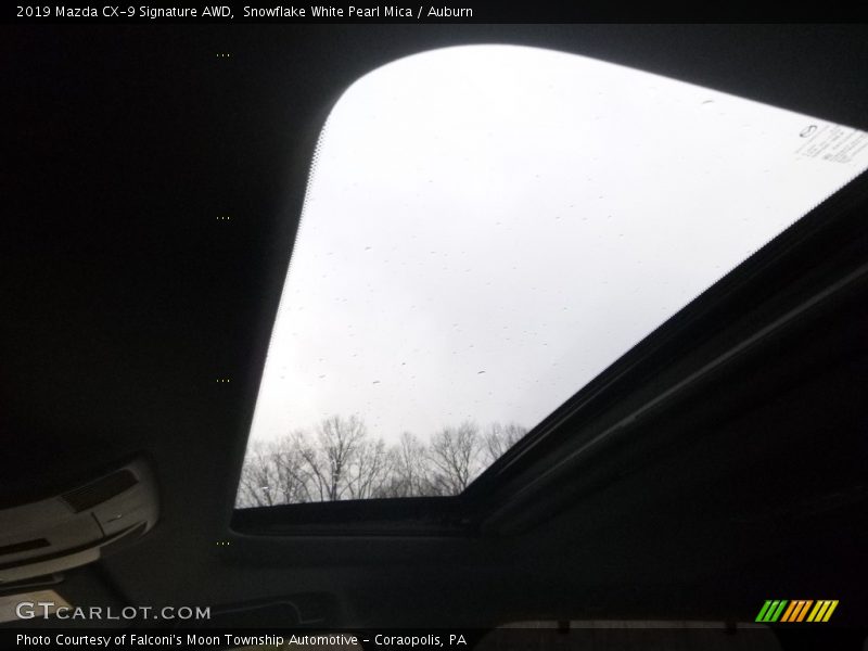 Snowflake White Pearl Mica / Auburn 2019 Mazda CX-9 Signature AWD