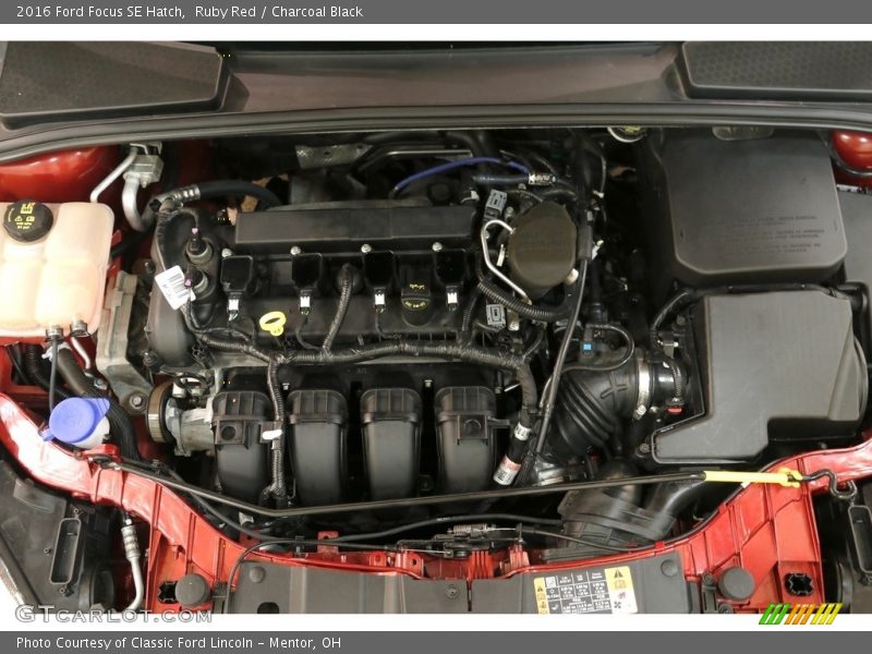 Ruby Red / Charcoal Black 2016 Ford Focus SE Hatch