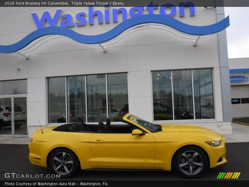 Triple Yellow Tricoat / Ebony 2016 Ford Mustang V6 Convertible