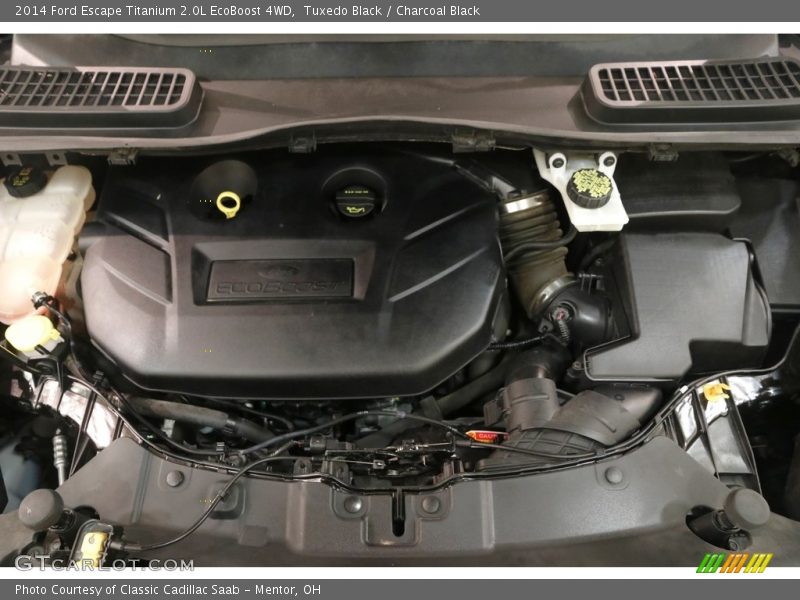 Tuxedo Black / Charcoal Black 2014 Ford Escape Titanium 2.0L EcoBoost 4WD