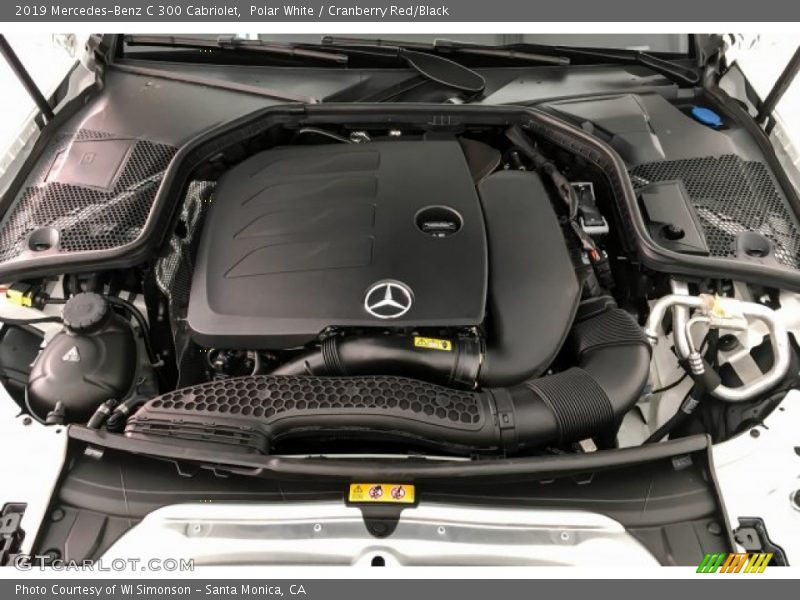 Polar White / Cranberry Red/Black 2019 Mercedes-Benz C 300 Cabriolet
