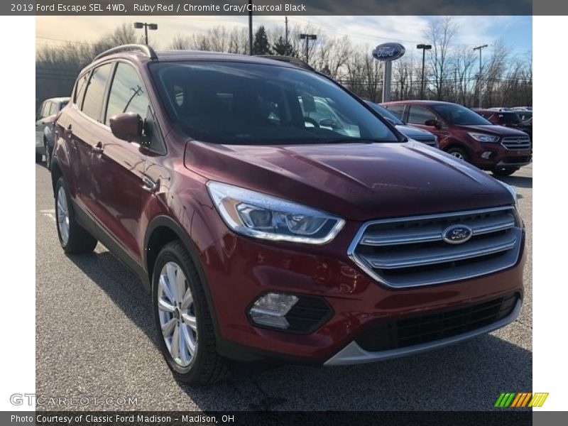 Ruby Red / Chromite Gray/Charcoal Black 2019 Ford Escape SEL 4WD