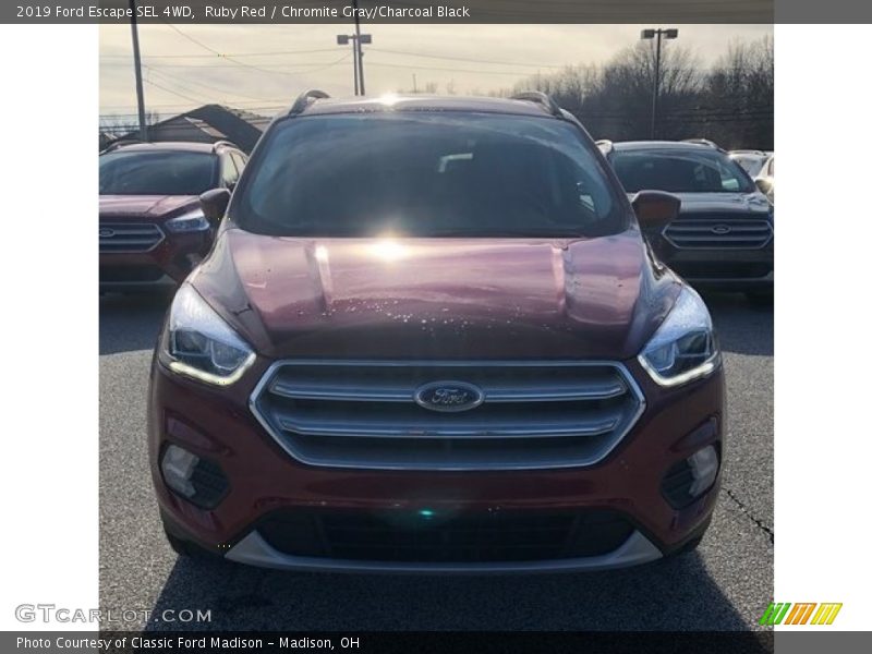 Ruby Red / Chromite Gray/Charcoal Black 2019 Ford Escape SEL 4WD