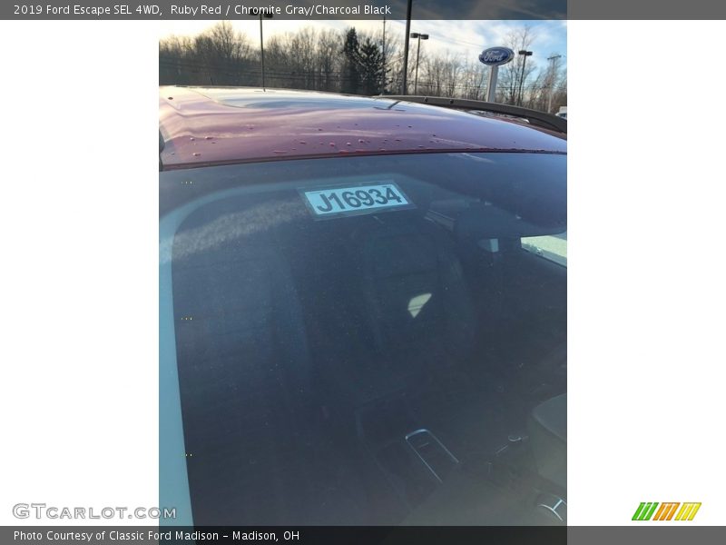 Ruby Red / Chromite Gray/Charcoal Black 2019 Ford Escape SEL 4WD