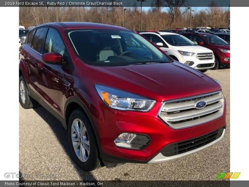 Ruby Red / Chromite Gray/Charcoal Black 2019 Ford Escape SE