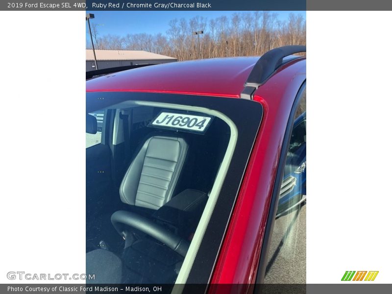 Ruby Red / Chromite Gray/Charcoal Black 2019 Ford Escape SEL 4WD