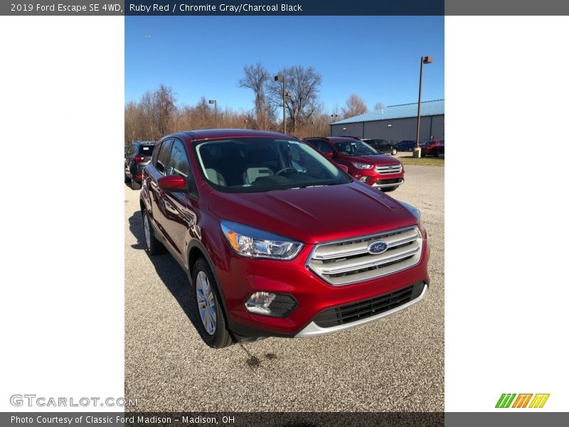 Ruby Red / Chromite Gray/Charcoal Black 2019 Ford Escape SE 4WD