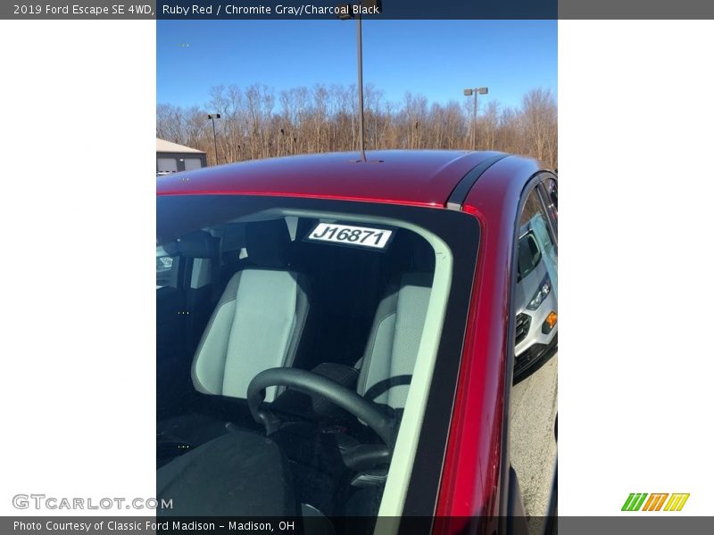 Ruby Red / Chromite Gray/Charcoal Black 2019 Ford Escape SE 4WD