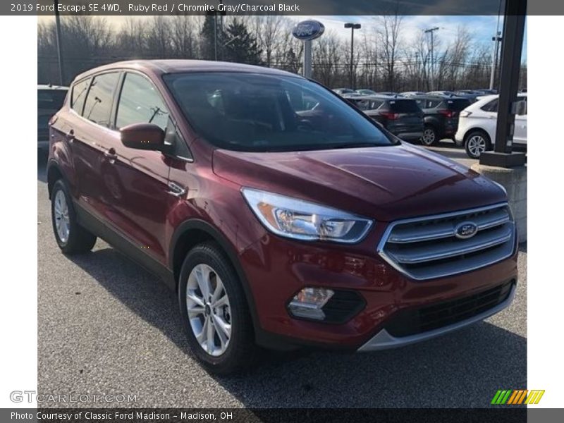 Ruby Red / Chromite Gray/Charcoal Black 2019 Ford Escape SE 4WD