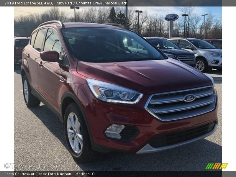 Ruby Red / Chromite Gray/Charcoal Black 2019 Ford Escape SEL 4WD