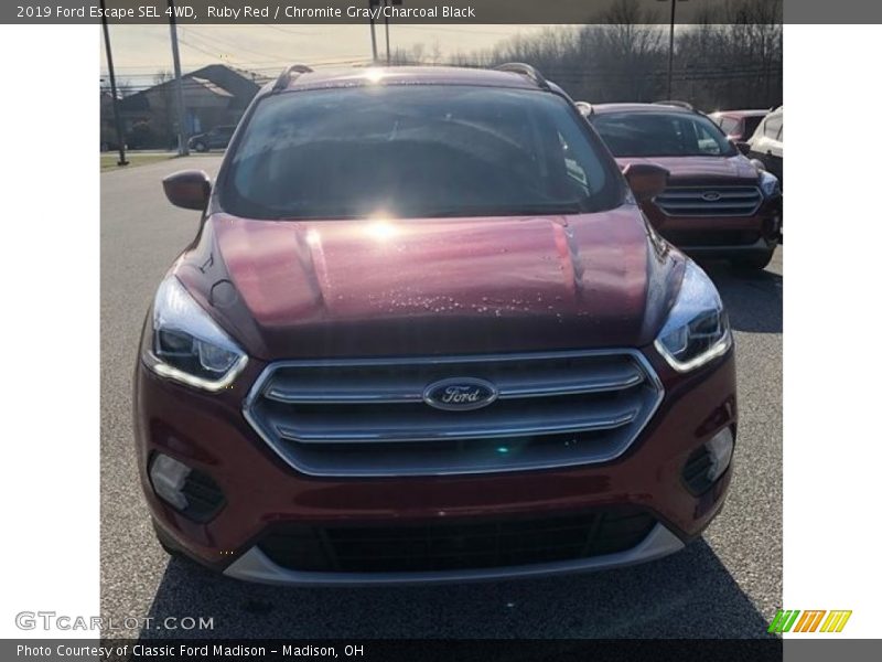 Ruby Red / Chromite Gray/Charcoal Black 2019 Ford Escape SEL 4WD