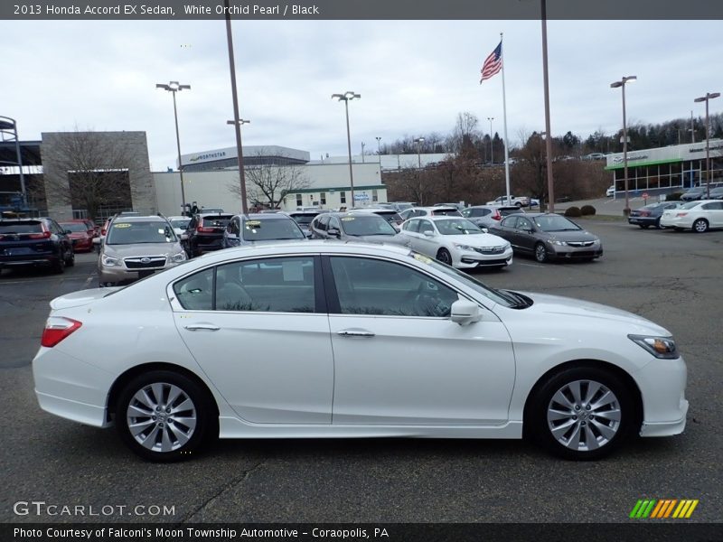 White Orchid Pearl / Black 2013 Honda Accord EX Sedan