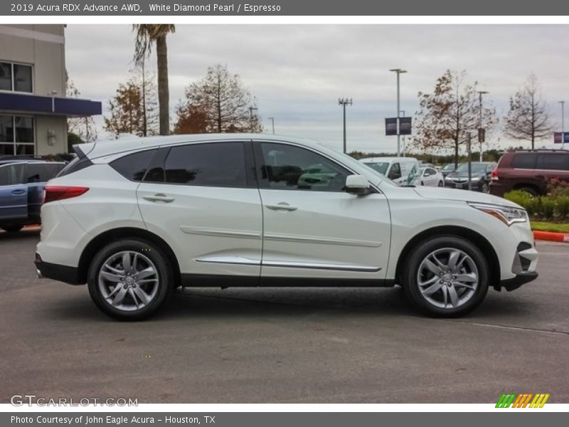 White Diamond Pearl / Espresso 2019 Acura RDX Advance AWD
