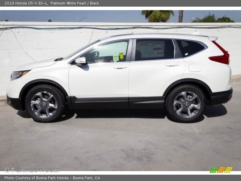 Platinum White Pearl / Black 2019 Honda CR-V EX-L