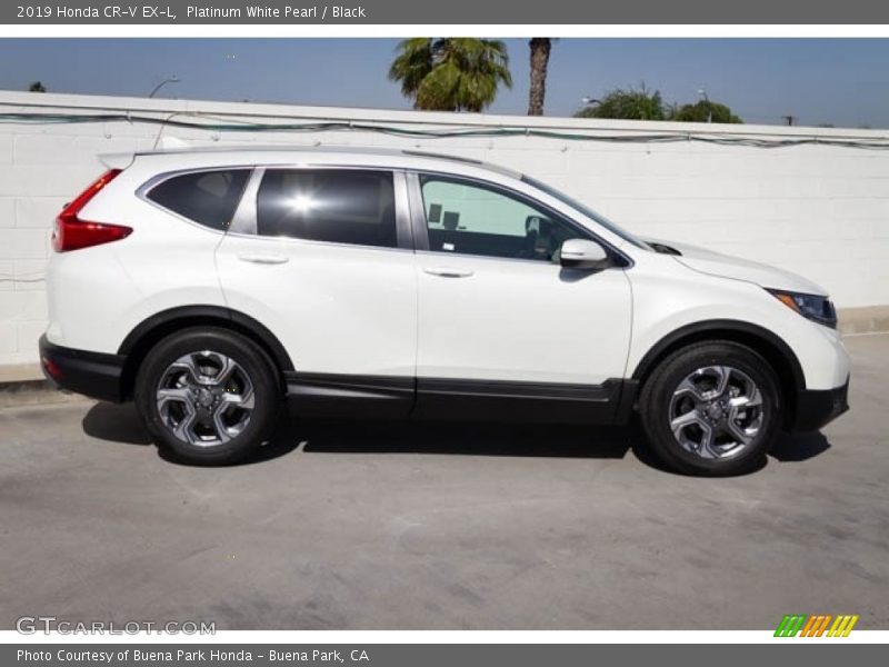 Platinum White Pearl / Black 2019 Honda CR-V EX-L