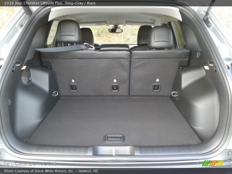 Sting-Gray / Black 2019 Jeep Cherokee Latitude Plus