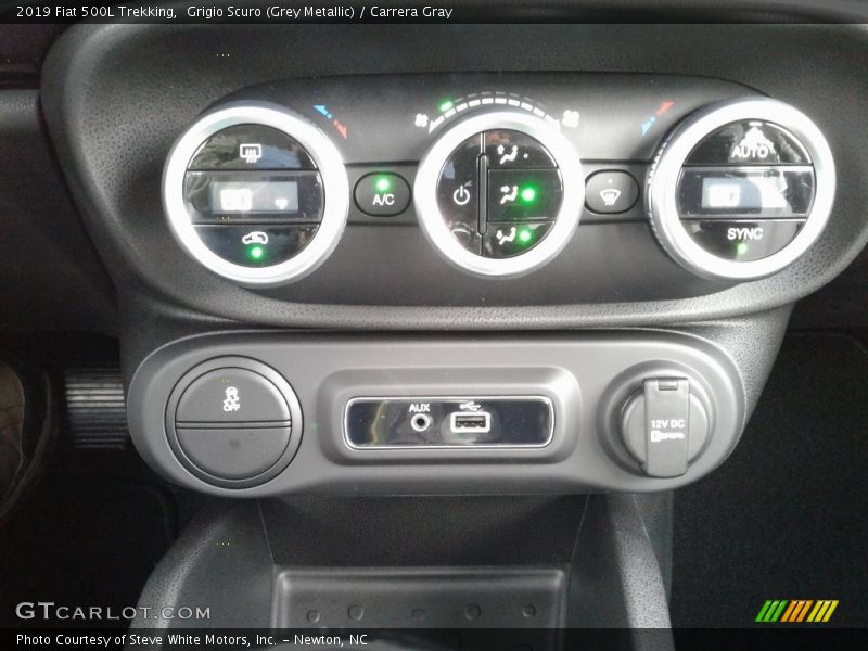 Controls of 2019 500L Trekking