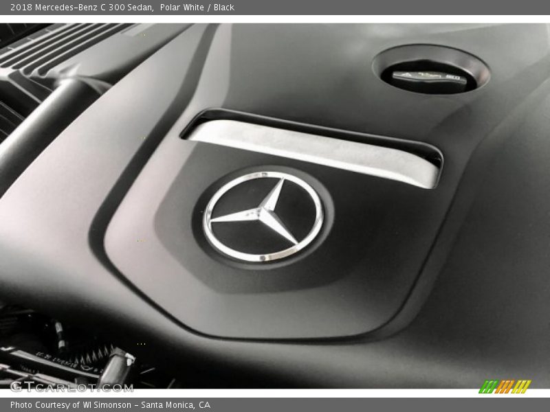 Polar White / Black 2018 Mercedes-Benz C 300 Sedan