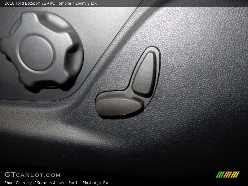 Smoke / Ebony Black 2018 Ford EcoSport SE 4WD