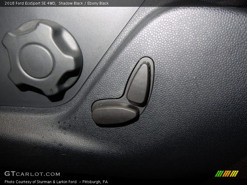Shadow Black / Ebony Black 2018 Ford EcoSport SE 4WD