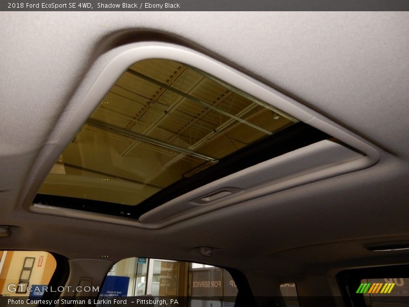 Shadow Black / Ebony Black 2018 Ford EcoSport SE 4WD