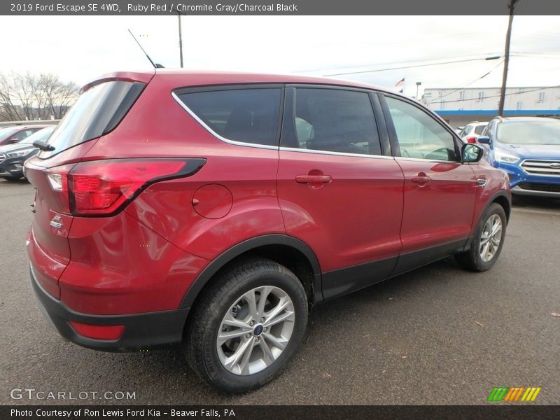 Ruby Red / Chromite Gray/Charcoal Black 2019 Ford Escape SE 4WD