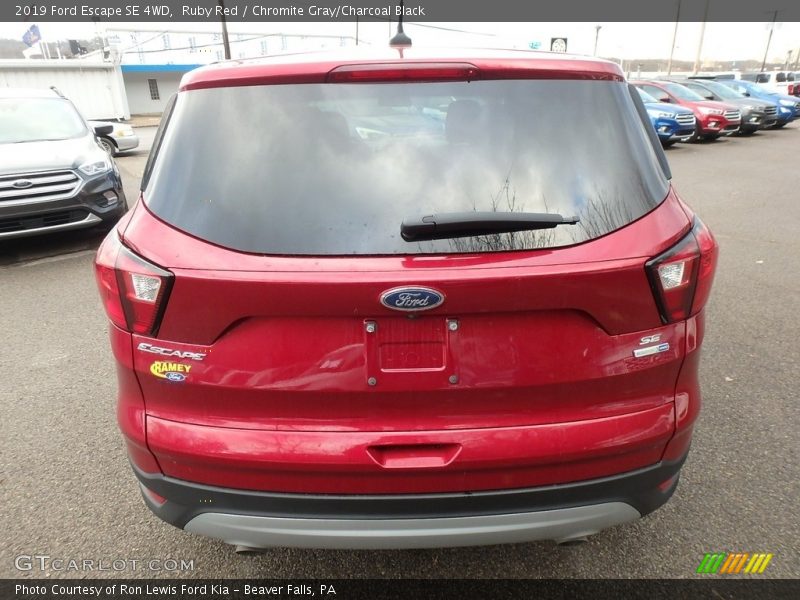 Ruby Red / Chromite Gray/Charcoal Black 2019 Ford Escape SE 4WD