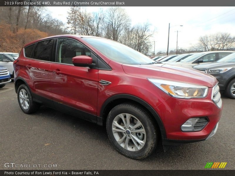 Ruby Red / Chromite Gray/Charcoal Black 2019 Ford Escape SE 4WD