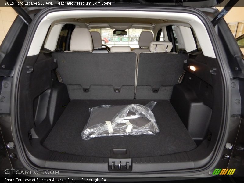 Magnetic / Medium Light Stone 2019 Ford Escape SEL 4WD