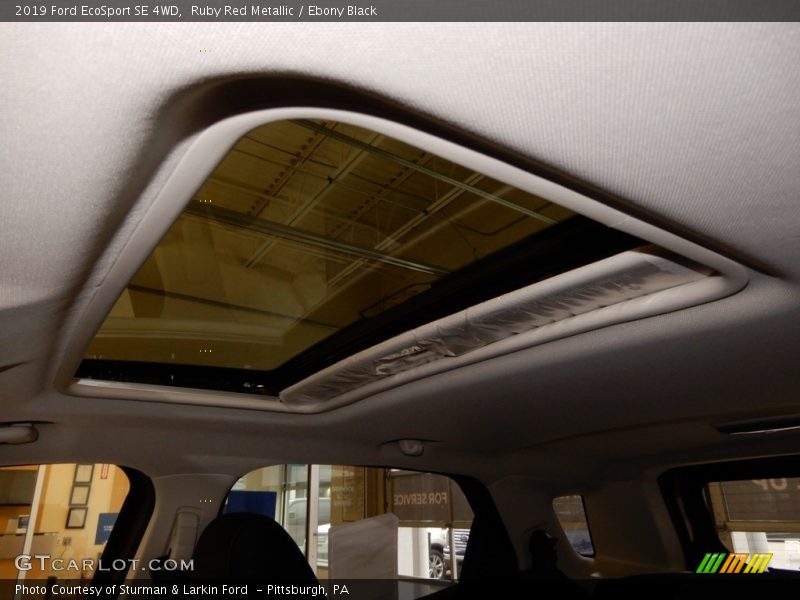 Ruby Red Metallic / Ebony Black 2019 Ford EcoSport SE 4WD